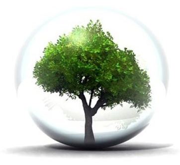 affiche journée de l'arbre