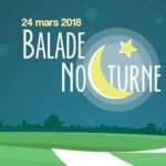 affiche balade nocturne