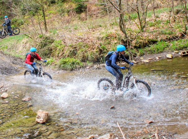 Trottinettes