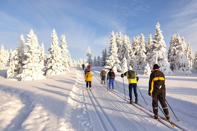 Ski