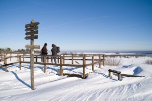 TOUR - Emile_Fontaine_Photo1_Sourbrodt_2015_02_05_Les Fagnes_Nom_Photo_Où suis-je