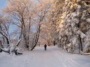 Freizeitaktivitäten mit der Familie, mit Freunden, für Sportler, … 1