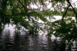 NAT - EGGERMONT JEAN-MARIE - Photo 3 (17-07-2016 Tour du Lac de Robertville) - Copie